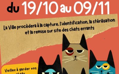 CAMPAGNE DE STERILISATION DES CHATS
